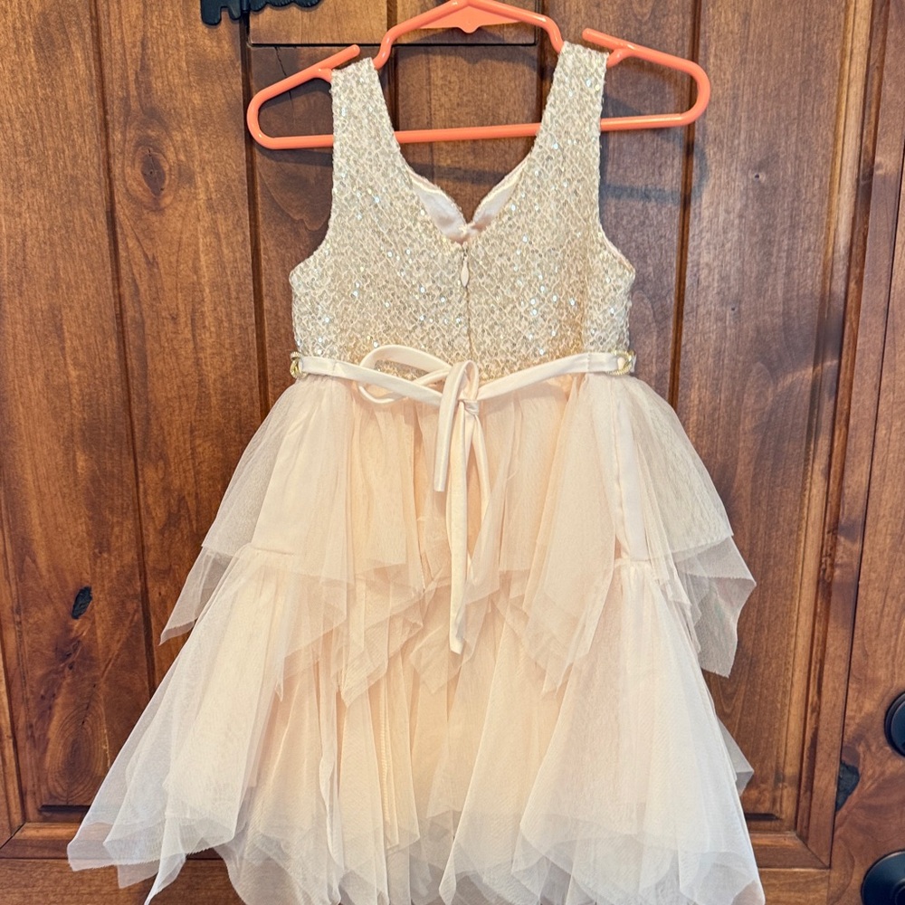 American Princess Sparkling Cream toddler Dress - Picture 4 of 6